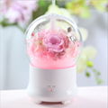 Aromatherapy Humidifier With Preserved Flowers Home Air Humidifier