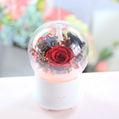 Aromatherapy Humidifier With Preserved Flowers Home Air Humidifier