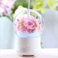 Aromatherapy Humidifier With Preserved Flowers Home Air Humidifier