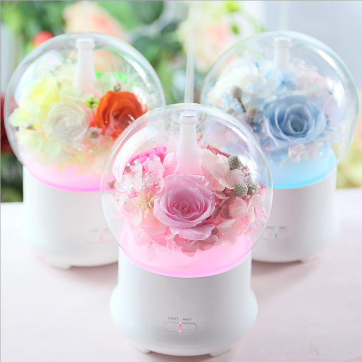 Aromatherapy Humidifier With Preserved Flowers Home Air Humidifier 5