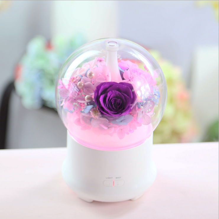 Aromatherapy Humidifier With Preserved Flowers Home Air Humidifier 4