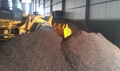 棕櫚仁殼(PALM KERNEL SHELL)