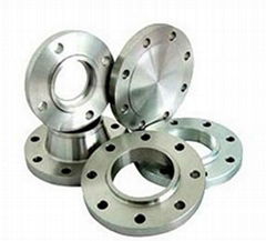 Steel Flanges