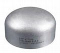 Stainless Steel Cap