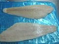 Arrow tooth flounder fillets portions