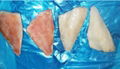 Redfish Atlantic redfish Pacific ocean perch IQF