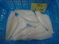 Sole (Yellowfin sole & Rock Sole)