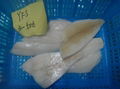Sole (Yellowfin sole & Rock Sole) (Limanda aspera & Lepidopsetta bilineata) 2