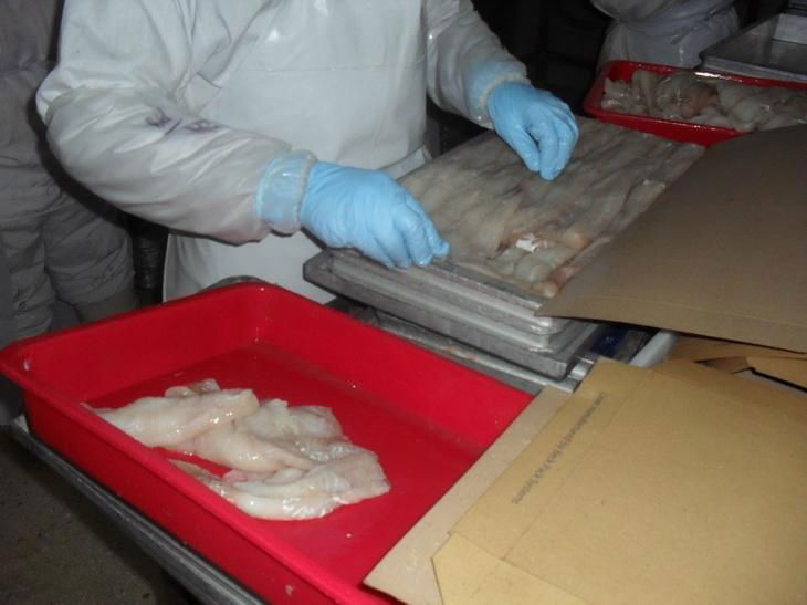 Alaska pollock fillets block packing 4x7.5kg/ctn