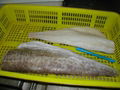  Cod (Atlantic cod & Pacific cod) loin, light salted G.morhua;  G. Macrocephalus 2