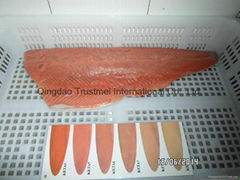 Wild salmon fillet, portions; (Pink