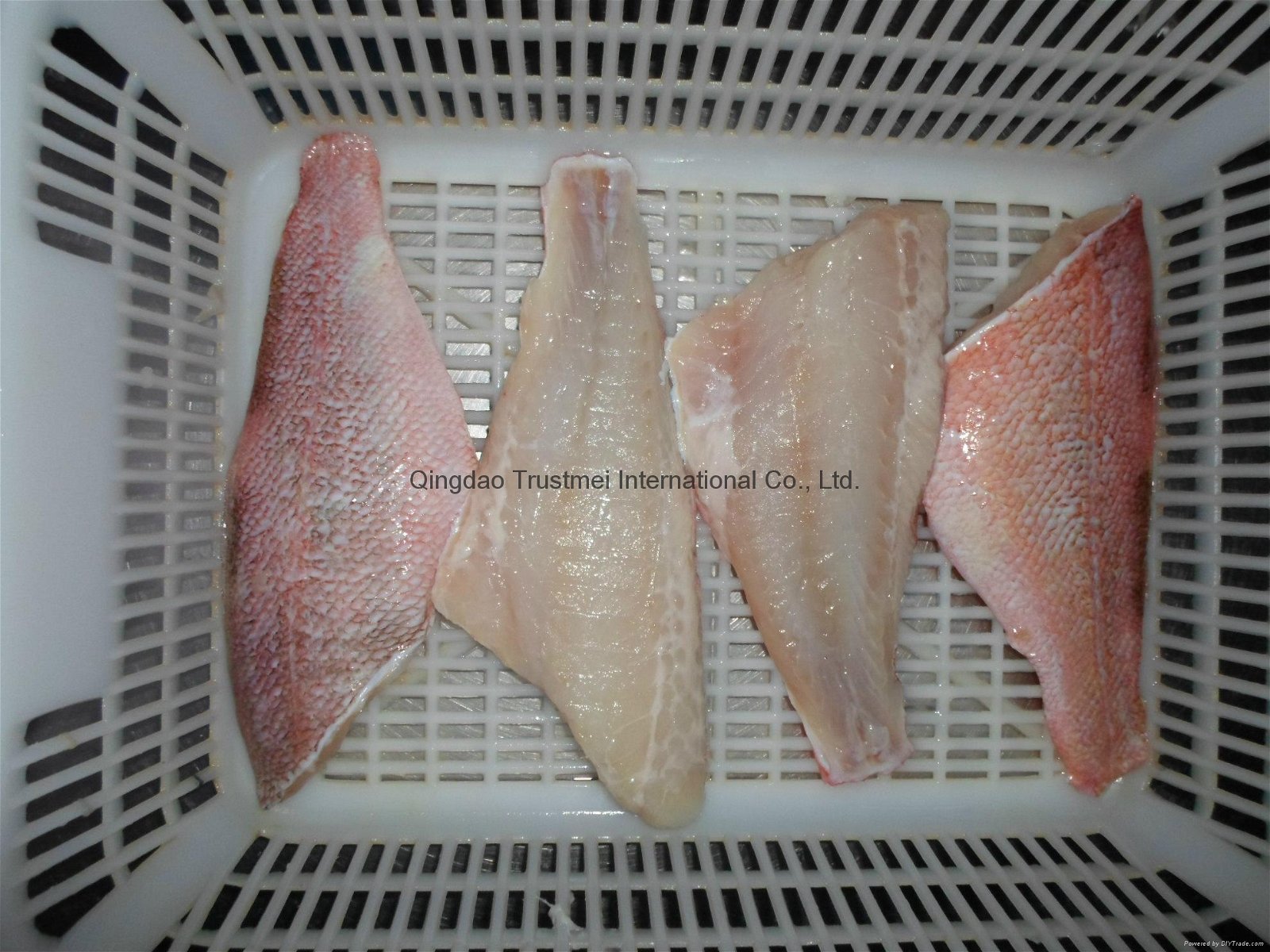 Redfish Atlantic redfish Pacific ocean perch IQF 3