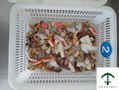 Seafood mix 2