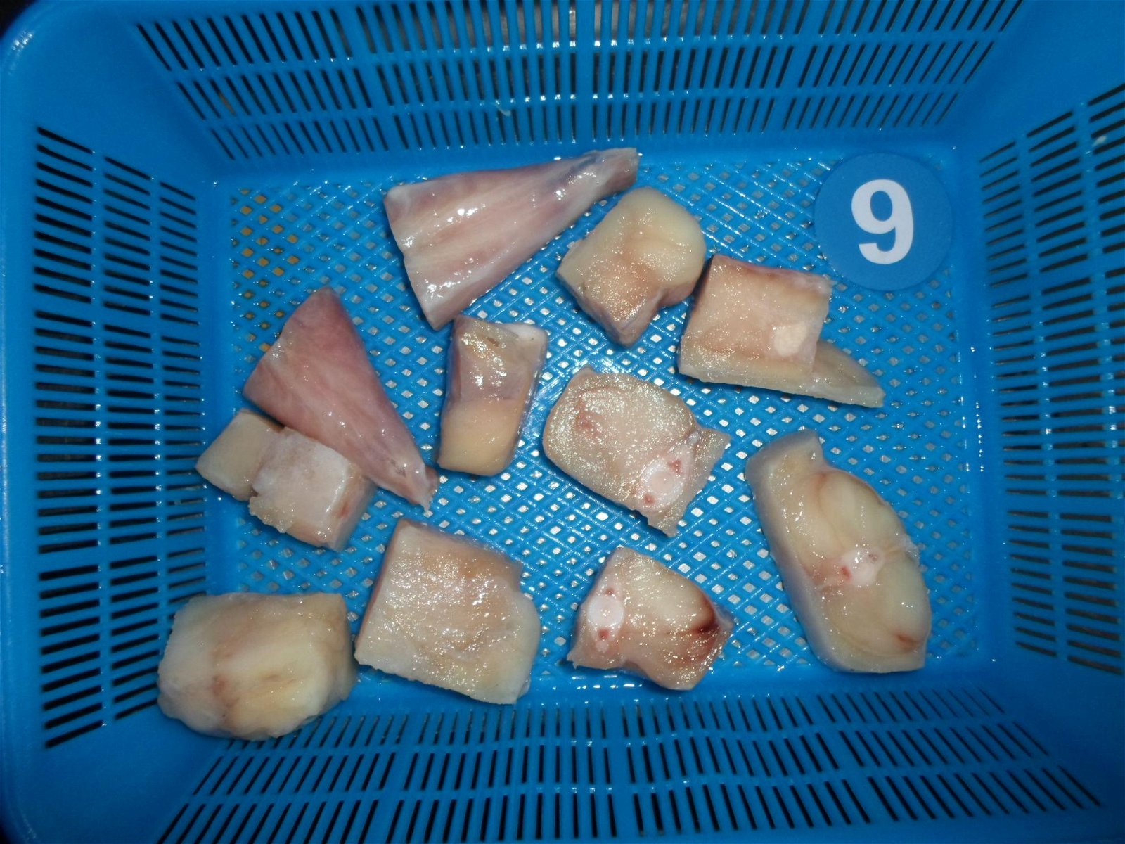 Monk fish fillets IQF (Lophius Litulon) 5