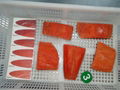 Wild salmon fillet, portions; (Pink salmon, chum salmon,sockeye salmon)