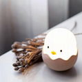 Eggshell Fun Night Light 2