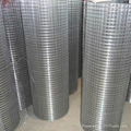 Stainless Steel Wire Mesh 1