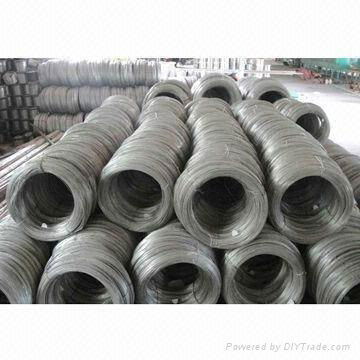 Stainless Steel Wire Mesh 3