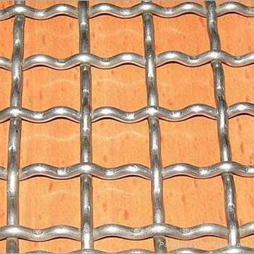 Crimped Wire Mesh 2