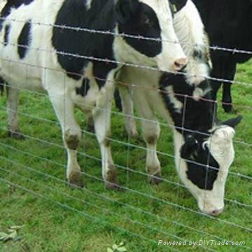 Grassland Fence