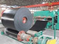 CC Conveyor Belt 