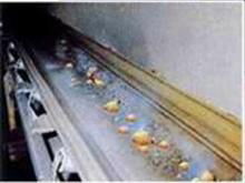  Heat Resistant Conveyor Belt 