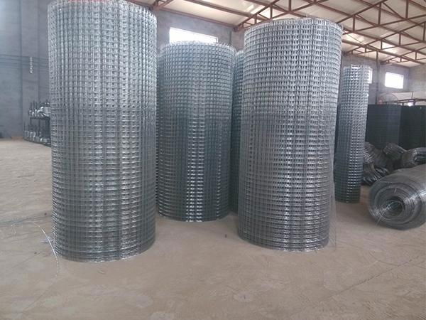 Galvanized Welded Wire Mesh 2