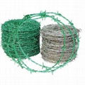 Hot Diped Galvanized Razor Barbed Wire 3