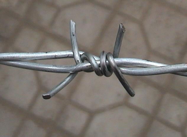 Hot Diped Galvanized Razor Barbed Wire 4