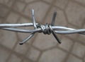 Hot Diped Galvanized Razor Barbed Wire 4