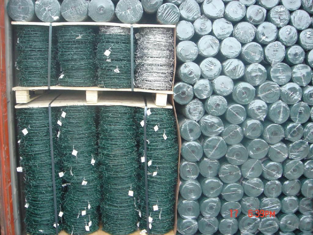 Hot Diped Galvanized Razor Barbed Wire 5