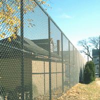 Chain Fence Netting