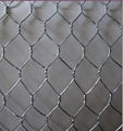 Hexagonal Wire Mesh