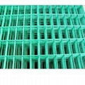 Welded Mesh Panel 5