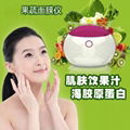 Fruit and vegetable essence mask instrument, DIY mask machine, whitening