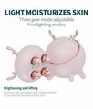 4 In 1 Led Skin Tightening Facial Portable Anti Wrinkle Home Use RF Beauty Devic