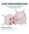 4 In 1 Led Skin Tightening Facial