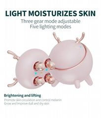 4 In 1 Led Skin Tightening Facial Portable Anti Wrinkle Home Use RF Beauty Devic