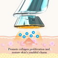 Home Beauty EMS RF Face Beauty Equipment Anti Wrinkle Skin Facial Beauty Device