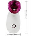 Facial Deep Moisture Replenish hydration Skin Women Warm Mist Humidifier+OEM/ODM 4