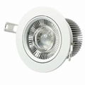 10W White AC Driverless dimmable LG3030SMD led down light Lamp 1