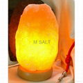 Himalayan Natural Salt Lamp