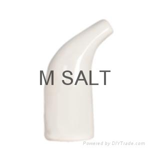 Salt Inhaler 2