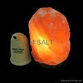Salt Inhaler 5