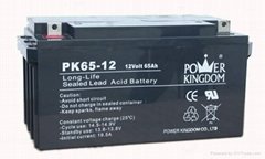 12v-65ah铅酸蓄电池