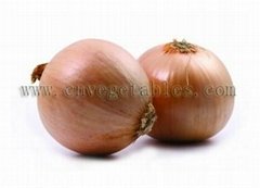 Non-Peeled Yellow Onion 