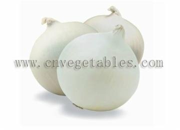 Fresh white onion (Non-peeled) 