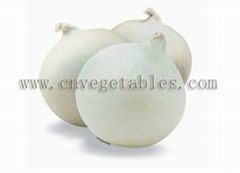 Fresh white onion (Non-peeled)