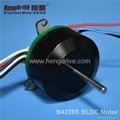 Hair Dryer brushless motor 1