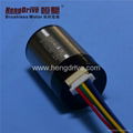 Brushless Dc motor B1625M 5